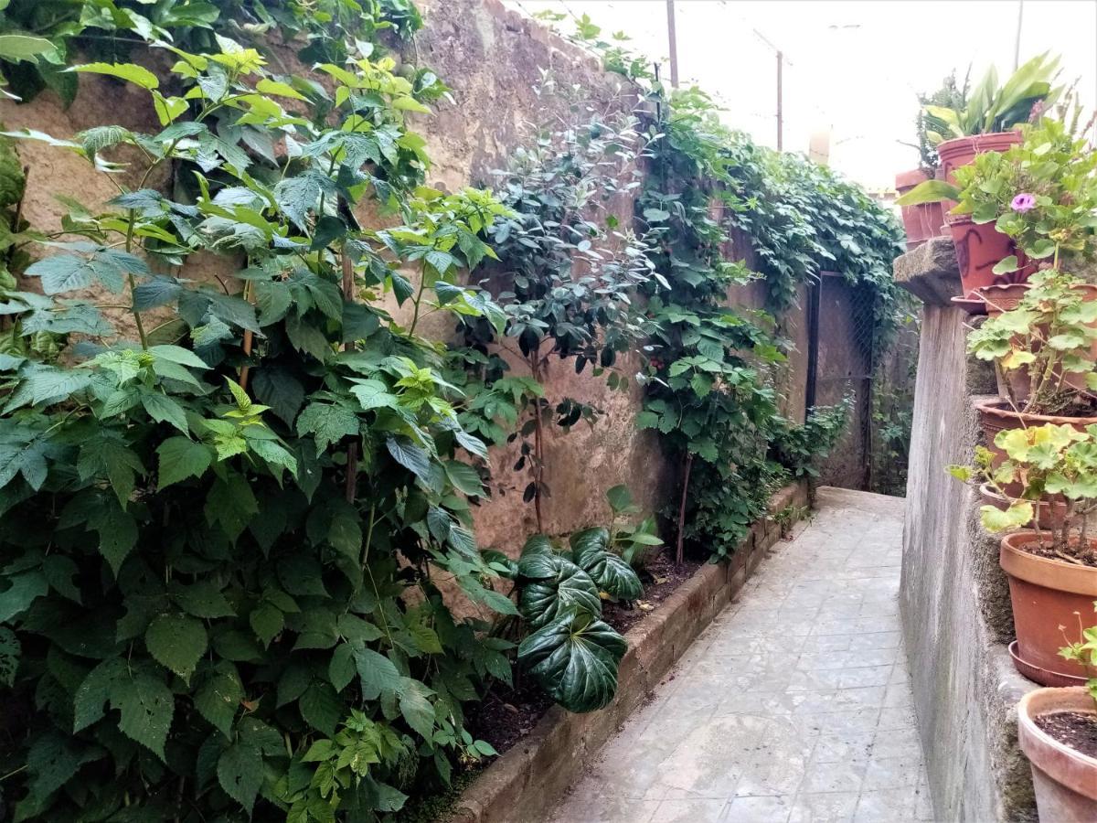 Hotel Casa Da Judiaria Velha Viseu Zewnętrze zdjęcie