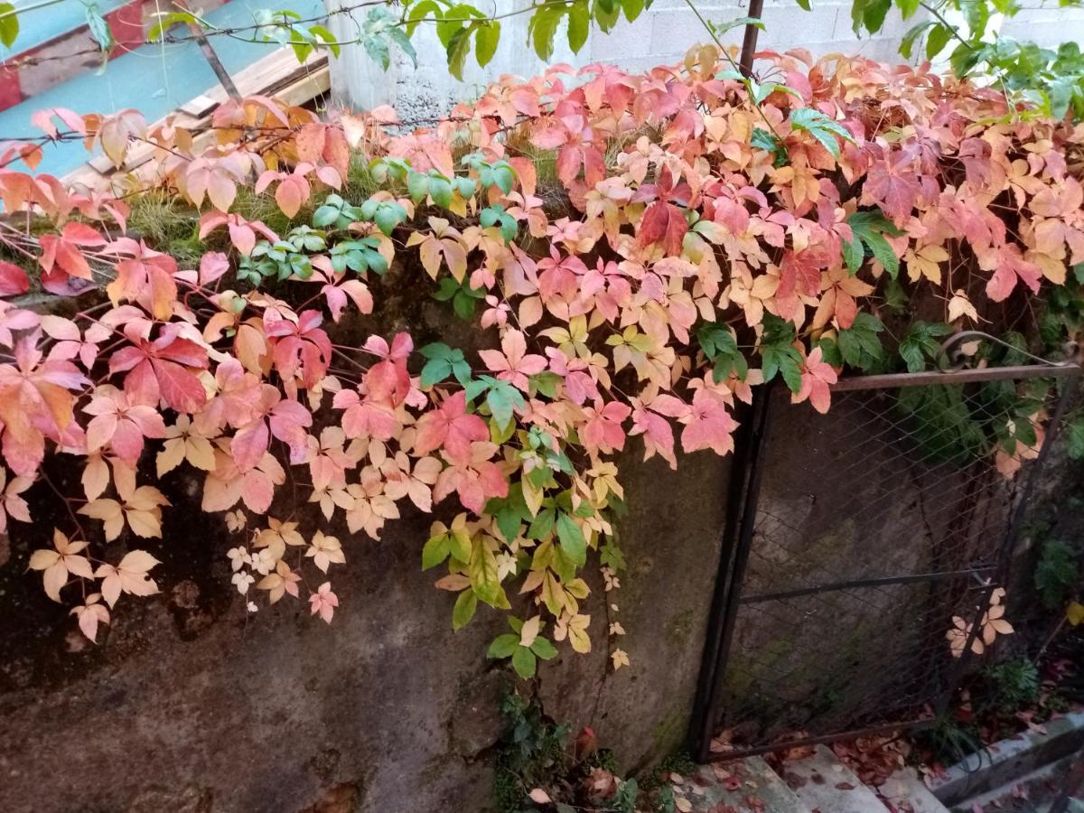 Hotel Casa Da Judiaria Velha Viseu Zewnętrze zdjęcie