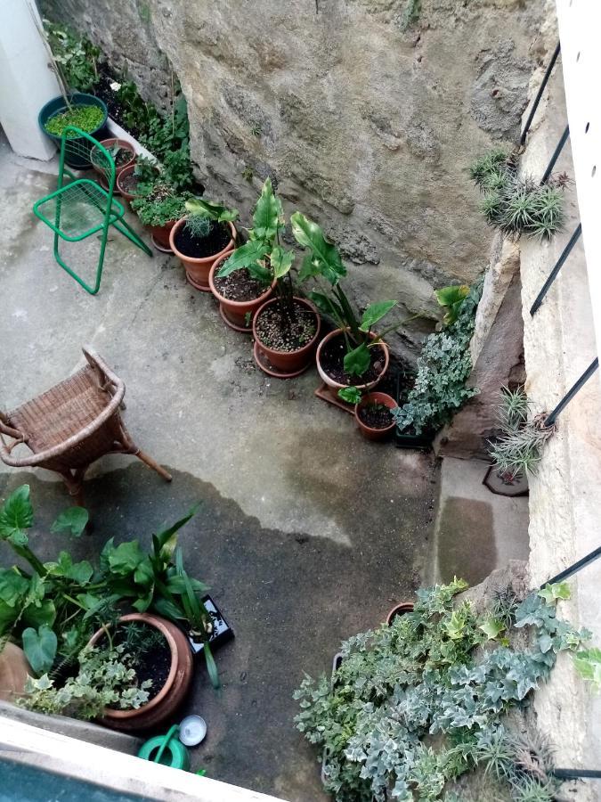 Hotel Casa Da Judiaria Velha Viseu Zewnętrze zdjęcie