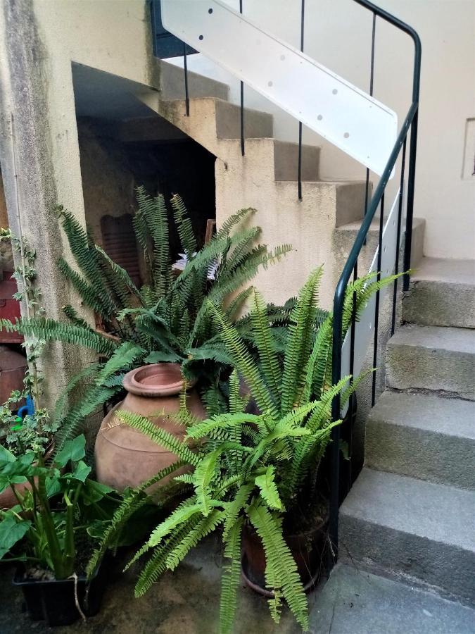 Hotel Casa Da Judiaria Velha Viseu Zewnętrze zdjęcie