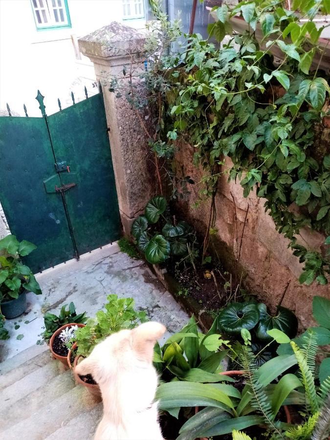 Hotel Casa Da Judiaria Velha Viseu Zewnętrze zdjęcie