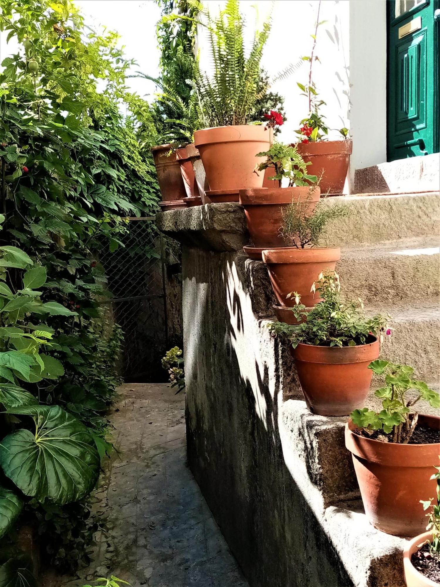 Hotel Casa Da Judiaria Velha Viseu Zewnętrze zdjęcie